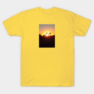 Palm trees silhouettes T-Shirt